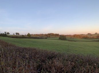 TERRAIN  AGRICOLE  A CORBIGNY