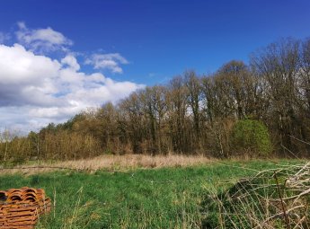 Fermette sur grand terrain